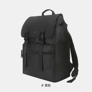 Diplomat 男士商务双肩包 DB-2713L 30x15x41cm