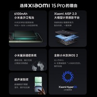 小米 Xiaomi 15 Pro  16GB+512GB