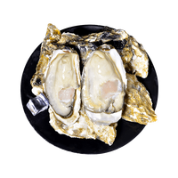 鲜火 乳山生蚝 2-3两5斤/箱（水开后上锅，加盖蒸3分钟左右即可。清蒸时间过久会导致变黄缩水。另重量为毛重，非净重）