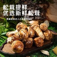 京喜 JX 松茸鲜调味料代替鸡精味精盐鸡粉家用松茸粉提鲜蔬菜菌菇蘑菇粉 100g*5袋