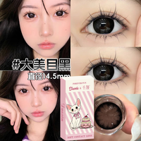 朵秀美瞳半年抛2片装 大小直径隐形眼镜 大美目黑 14.5mm 325度  大美目黑14.5mm
