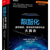 《数智化·数字政府、数字经济与数字社会大融合》（精装）