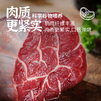 鑫隆御晟 XINLONGYUSHENG 巴西牛腱子 原切牛前腱2kg 新鲜生牛肉炖煮食材  源头直发 原切牛腱子2kg