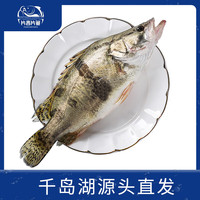 片言片鱼 千岛湖桂鱼 净膛1.6斤 2-4条 鲜活宰杀臭鳜鱼 年夜饭 源头直发
