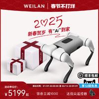 WEILAN BabyAlpha Dev 系列 蔚蓝阿尔法机器狗 人工智能机器狗 AI 机器狗