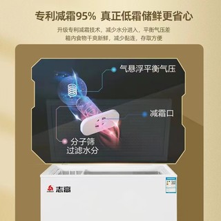 志高冰柜家用小型小冰柜家用冷冻小型冰柜商用冷柜冰箱冷冻冰柜