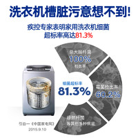 泰克斯乐 Texlabs 强力除垢去污 洗衣机清洁剂 1000ml 2瓶装