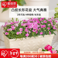 爱丽思（IRIS） 凸纹长方形树脂加厚阳台种菜盆 绿植花卉多肉花盆 520浅米色(长52cm)