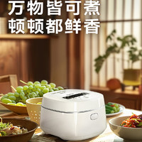 松下 Panasonic 智能迷你煲小型1.5L煲仔饭预约DD051电饭煲