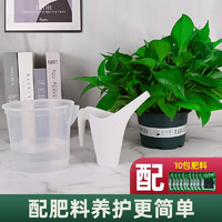 88VIP：牵鲜 绿萝花盆懒人自动吸水家用绿箩透明套盆加厚耐用塑料树脂加仑盆