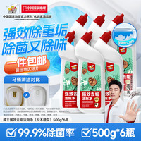vewin威王松木橙花洁厕灵液洗厕所除臭马桶清洁剂去异味除垢去渍 【五口之家】松木橙花6瓶 【亮哥】松木橙花香500g*6