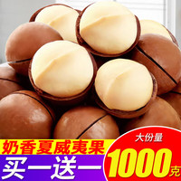 亖小白年货夏威夷果坚果炒货大颗粒5斤装奶香原味每日坚果休闲零食 买250送250【共500g附开口器】