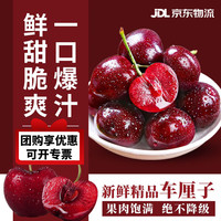 鲁禧海岸智利车厘子多地次日达 新鲜水果 黑珍珠大樱桃整箱 3斤3J级果径30-32mm 净重2.7斤