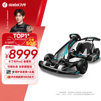 九号 卡丁车Pro2代 儿童电动车四轮玩具车成人儿童电动赛车 九号卡丁车Pro2代