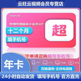 哔哩哔哩超级大会员年卡 bilibili超级大会员B站超级大会员填手机号充值