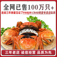 【活蟹】网兜蟹特大辽宁盘锦河蟹稻田河蟹礼盒鲜活中秋大闸蟹 去绳净重公母1.4-1.6两5对 10只 全母蟹 1.2-1.4两【2斤】14-16只