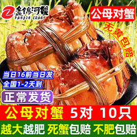 【活蟹】网兜蟹特大辽宁盘锦河蟹稻田河蟹礼盒鲜活中秋大闸蟹 去绳净重 公母1.2-1.4两 5对10只 全母蟹 1.6-1.8两【2斤】11-13只