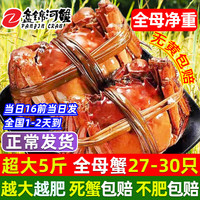 【活蟹】网兜蟹特大辽宁盘锦河蟹稻田河蟹礼盒鲜活中秋大闸蟹 全母蟹1.6-1.8两【5斤】27-30只 2.2-2.5两   *12只【巨无霸】