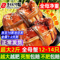 【活蟹】网兜蟹特大辽宁盘锦河蟹稻田河蟹礼盒鲜活中秋大闸蟹 净重全母1.4-1.6两 2斤12-14只 全母蟹 1.4-1.6两【2斤】12-14只