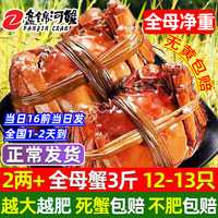 【活蟹】网兜蟹特大辽宁盘锦河蟹稻田河蟹礼盒鲜活中秋大闸蟹 全母蟹 2.2-2.4两【3斤】12-13只