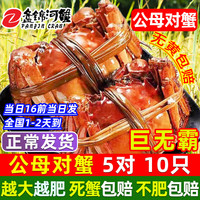 【活蟹】网兜蟹特大辽宁盘锦河蟹稻田河蟹礼盒鲜活中秋大闸蟹 公母对蟹3.2-3.5两【5对】10只