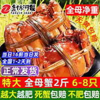 【活蟹】网兜蟹特大辽宁盘锦河蟹稻田河蟹礼盒鲜活中秋大闸蟹 全母蟹2.6-2.8两【2斤】6-8只