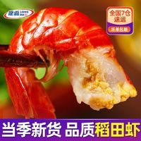 百亿补贴：龙霸 清水冷冻小龙虾尾 500g/袋 一级虾尾虾球