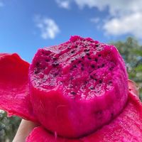 火龙果直供大果红肉整箱当季薄皮多规格到家