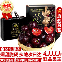 桦萱车厘子智利大樱桃【多地次日达】新鲜水果年货节盒 10斤(净重) 4500g巨无霸3jjj级