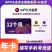 WPS大会员年卡12个月官方正版PPT素材资源pdf转换word含超级+AI会员 1T云空间海量模板