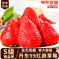 移动端、京东百亿补贴：沙窝曙光 空运到家）丹东草莓99红颜奶油大草莓新鲜时令水果年货礼盒 3斤大果装单果20-30g