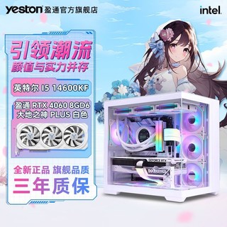 百亿补贴：盈通 i5-14600KF/RTX4060高配diy台式主机电竞游戏电脑整机吃鸡