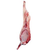 盐滩记羊肉 宁夏滩羊肉 新鲜现杀20斤整半只 年货生鲜礼盒源头直发 按单现杀20斤半只滩羊（整半只）