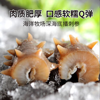 老尹家淡干海参冬季滋补5年深海底播刺参 500g年货礼盒装 108-118头 500g*1盒