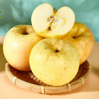 古寨山新果栖霞奶油富士苹果新鲜直达75-85果径 4.5-5斤