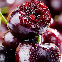 粤迎智利车厘子【JD顺丰多地次日达】大樱桃时令生鲜新鲜水果孕妇可吃 4斤(净重) J级【单果26-28mm】