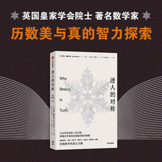 迷人的对称 从古巴比伦的二次方程，到揭示宇宙深处奥秘的现代物理 伊恩·斯图尔特著中信出版社