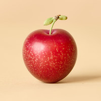 京鲜生 GarcesFruit吉制 智利樱桃李4J级 5斤礼盒装 新鲜水果 源头直发 【4J级】5斤 家庭装