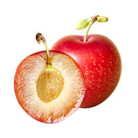 京鲜生 智利樱桃李 3J级 450g装单果25g+ 李子 源头直发