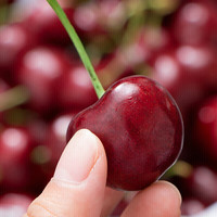 智宙智利车厘子【JD配送多地次日达】大樱桃水果礼盒年货节 【钻石级】巨无霸|3J 10-12g 净重0.8斤礼盒装