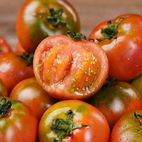 百亿补贴：广兴果园 福建碱地草莓西红柿 自然熟铁皮绿腚柿子 新鲜鹰爪番茄 生吃水果