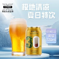 轩博 XUANBO 轩博 小金罐艾尔啤酒 330ml*24听