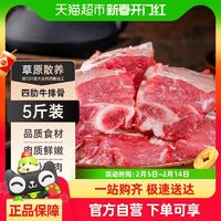 88VIP：祁连天宝 牛排骨5斤新鲜牛肉牛肋排牛仔骨生鲜半成品黄牛牛肉牛排2500g