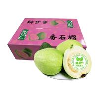 喵满分精选白心芭乐番石榴热带新鲜水果3斤起软糯番石榴