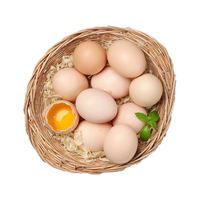 故乡食召 鸡蛋 散养谷物蛋 农家喂养 初生鲜鸡蛋 30枚 1500g 大码