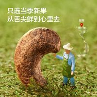觅菓小包装紫皮腰果218g罐装淡盐味越南紫衣大颗粒坚果追剧零食