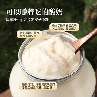 西域美农内蒙奶皮子老酸奶1kg*2瓶特产欧若姆鲜奶皮子酸奶