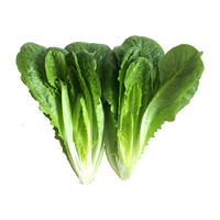 绿源禾心(LVYUANHEXIN)有机罗马生菜新鲜蔬菜山东有机农场直供多品组合任选绿源禾心 1500g