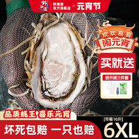 鲜海道 XIANHAIDAO 生蚝  乳山牡蛎 新鲜海蛎子生鲜贝类 6XL号9斤送两袋蒜蓉酱