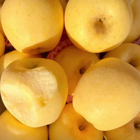 粤迎维纳斯黄金苹果山东苹果新鲜当季水果可吃时令水果脆甜多汁 10斤【单果250g+】净9斤